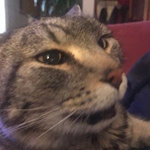 Meet your Posher, Corey